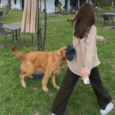 约翰和洞